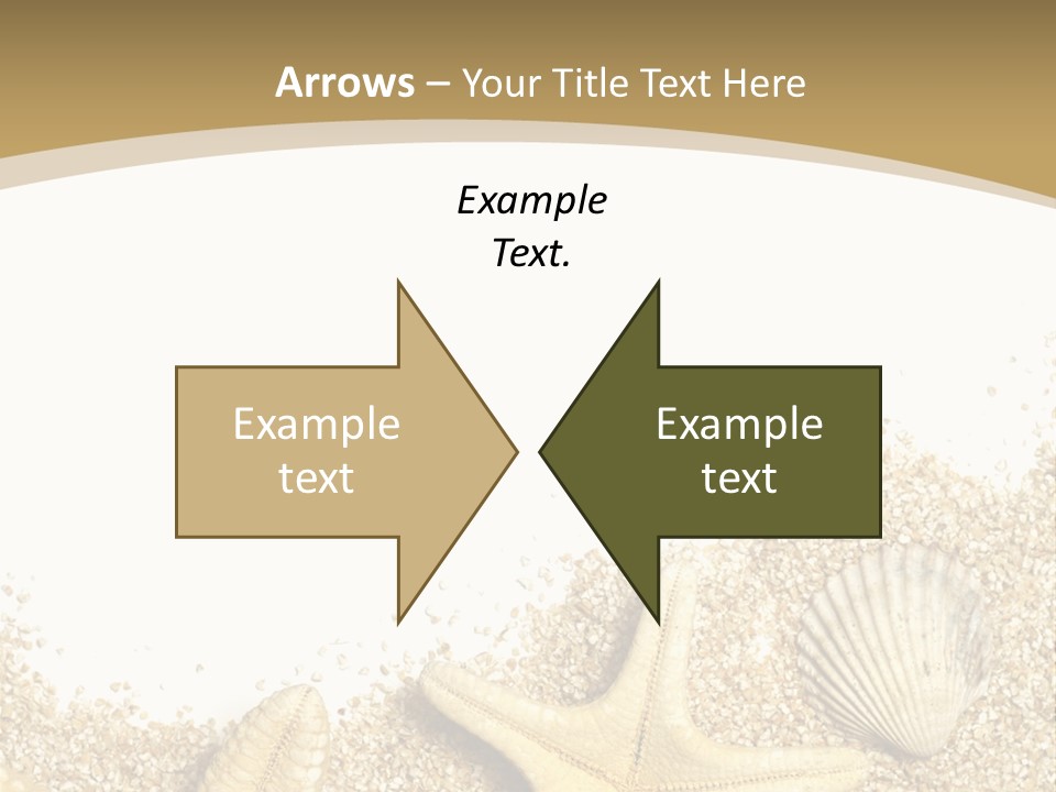 Seashell Isolated Holidays PowerPoint Template