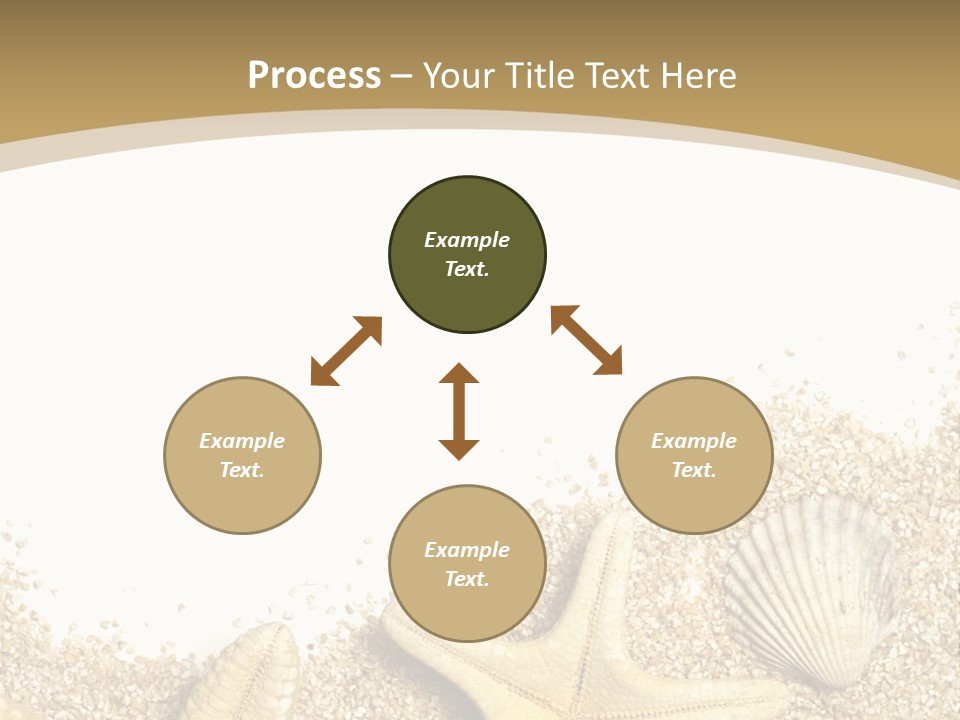 Seashell Isolated Holidays PowerPoint Template