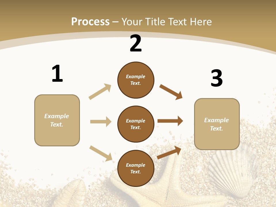 Seashell Isolated Holidays PowerPoint Template