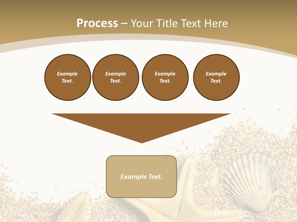 Seashell Isolated Holidays PowerPoint Template
