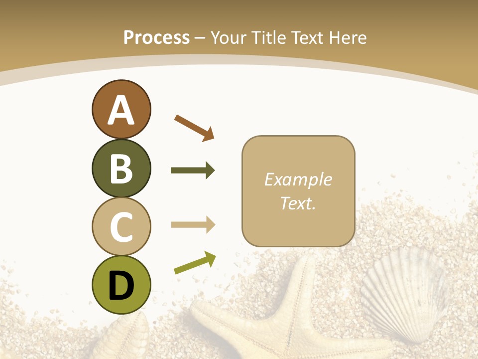 Seashell Isolated Holidays PowerPoint Template