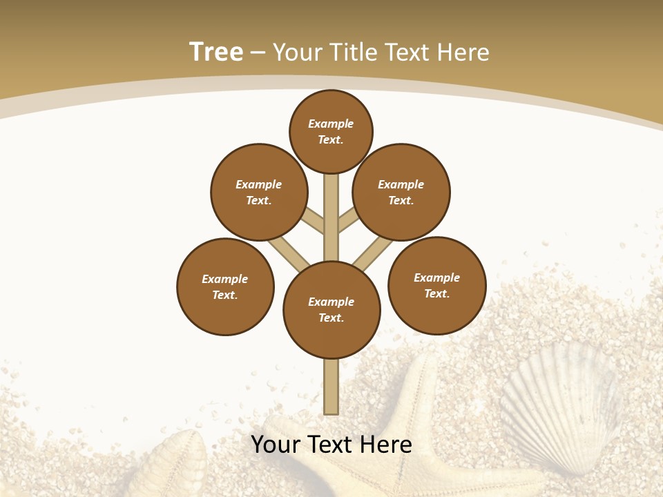 Seashell Isolated Holidays PowerPoint Template