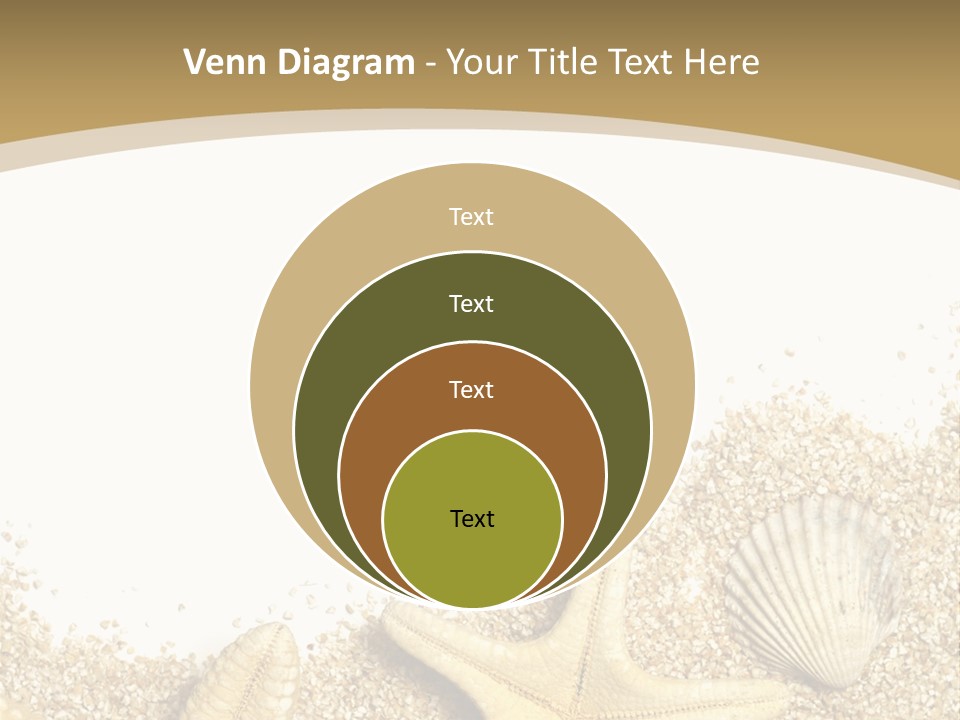 Seashell Isolated Holidays PowerPoint Template