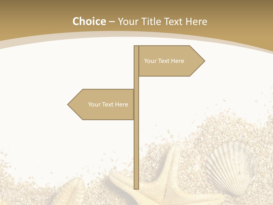 Seashell Isolated Holidays PowerPoint Template