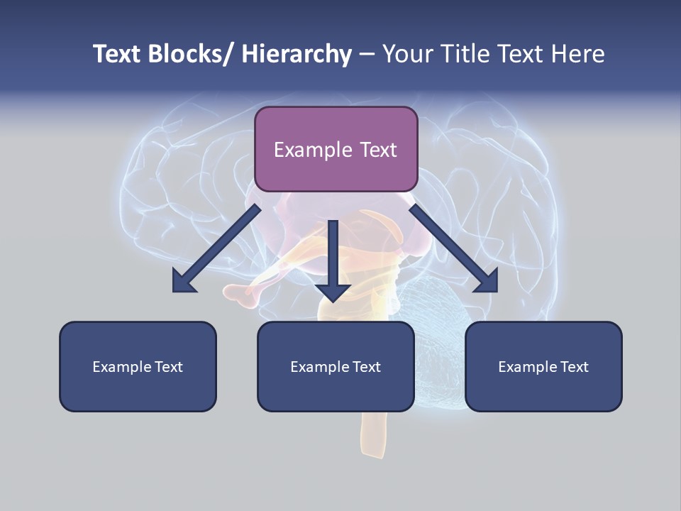 Person Background Lifestyle PowerPoint Template
