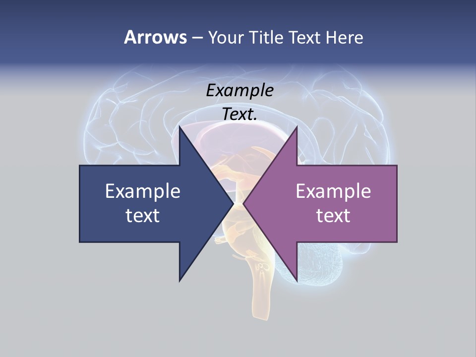 Person Background Lifestyle PowerPoint Template