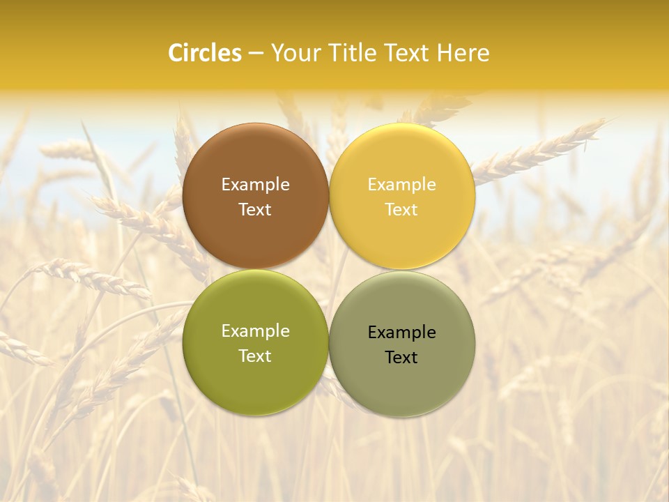 Ripe Farming Agricultural PowerPoint Template