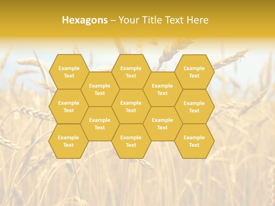 Ripe Farming Agricultural PowerPoint Template