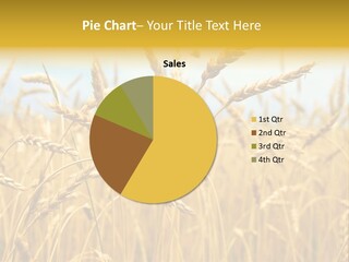 Ripe Farming Agricultural PowerPoint Template