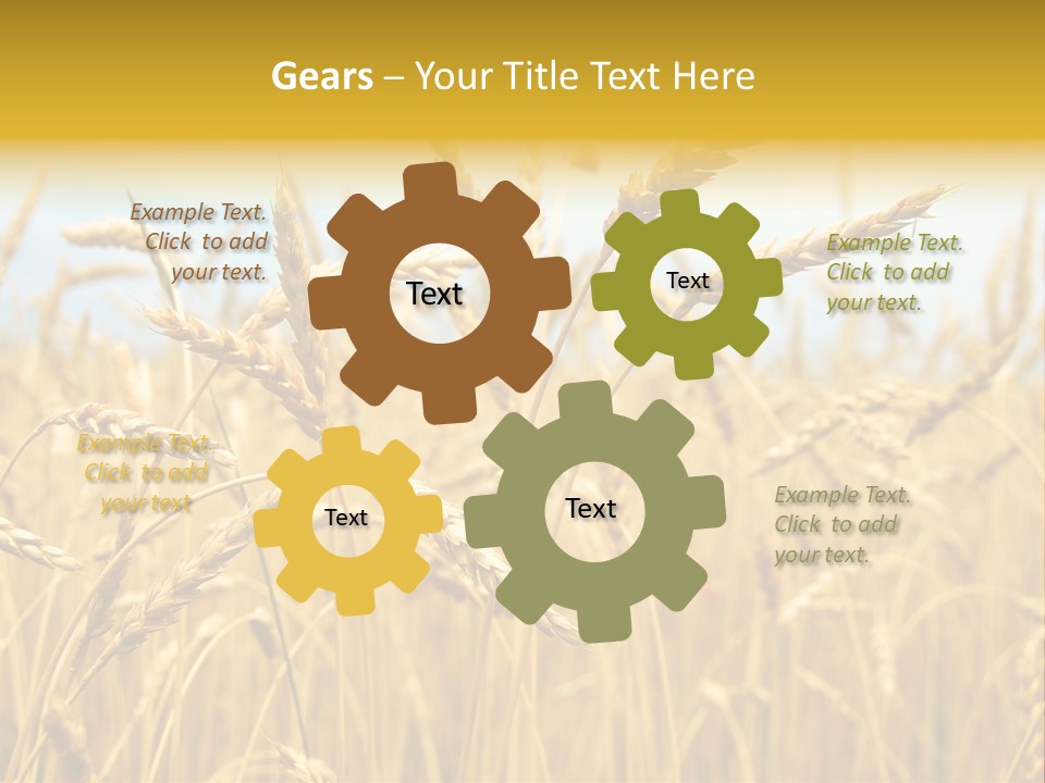 Ripe Farming Agricultural PowerPoint Template