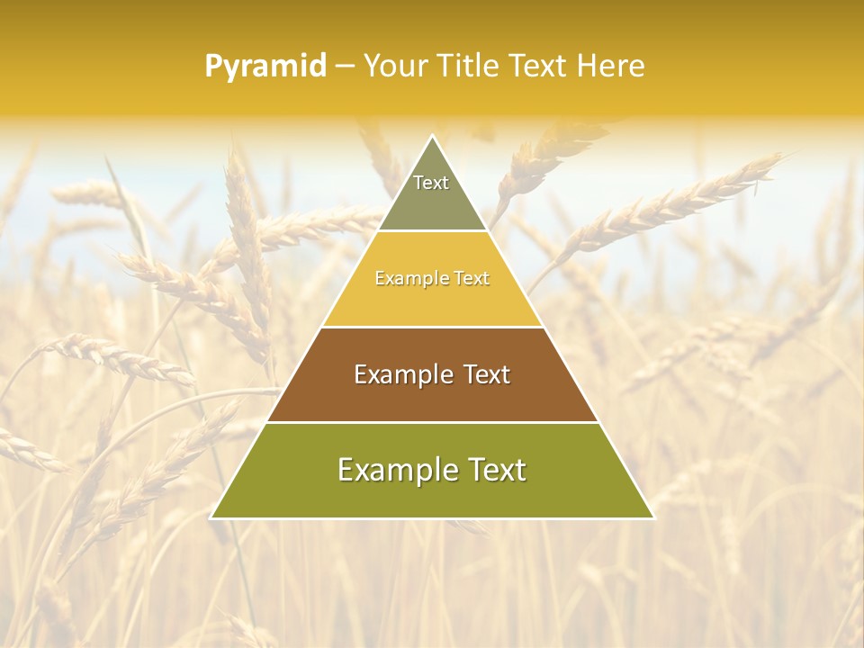 Ripe Farming Agricultural PowerPoint Template