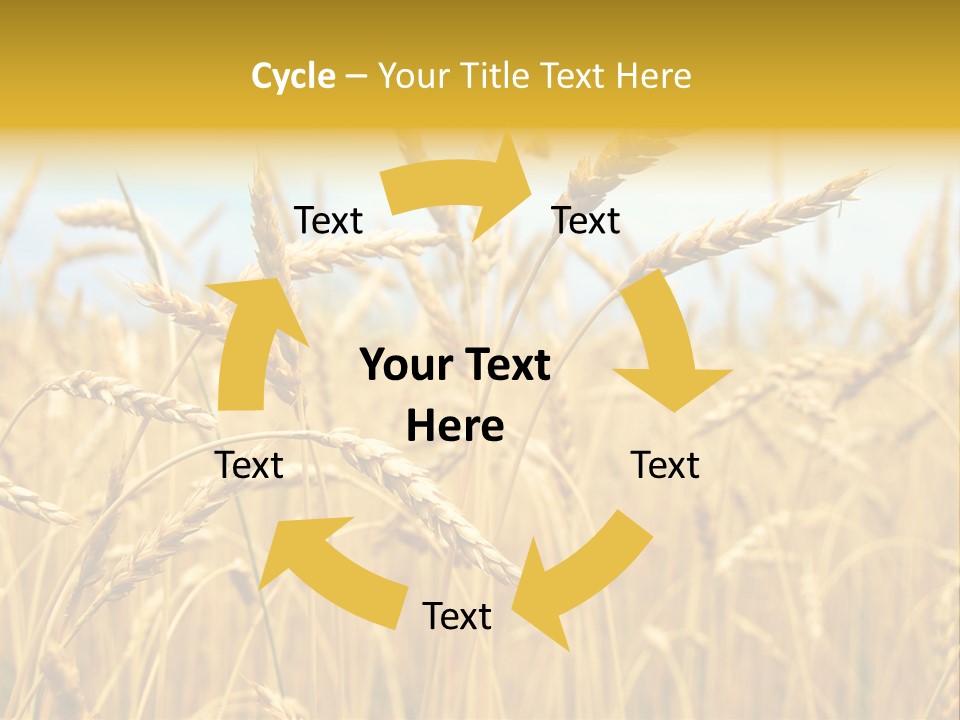 Ripe Farming Agricultural PowerPoint Template