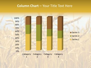 Ripe Farming Agricultural PowerPoint Template