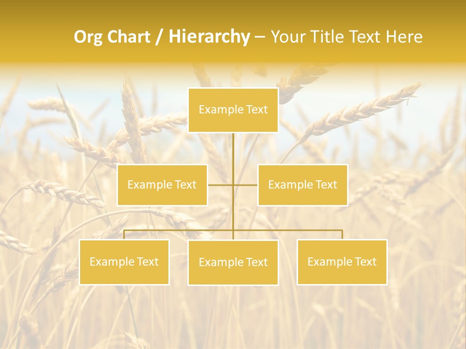 Ripe Farming Agricultural PowerPoint Template