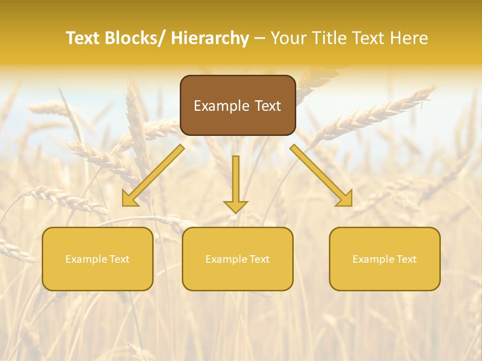 Ripe Farming Agricultural PowerPoint Template