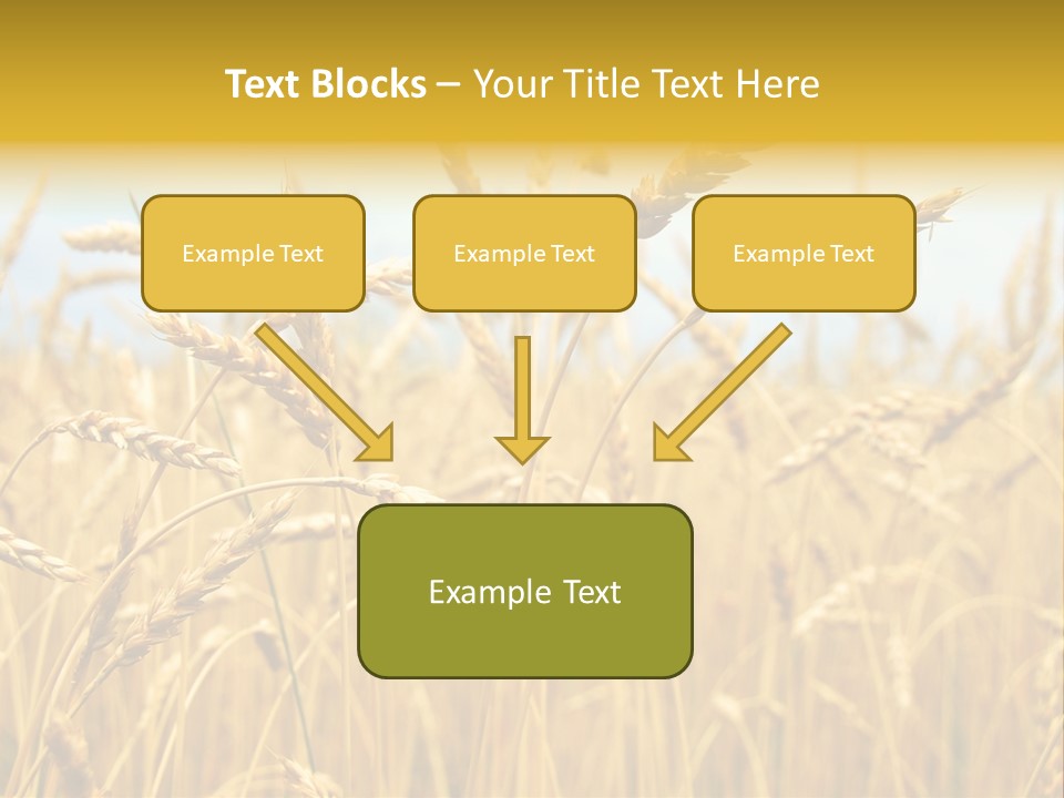 Ripe Farming Agricultural PowerPoint Template