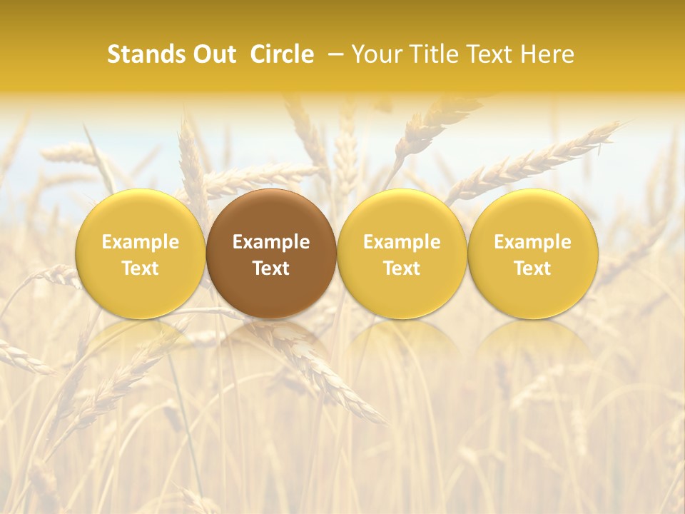 Ripe Farming Agricultural PowerPoint Template