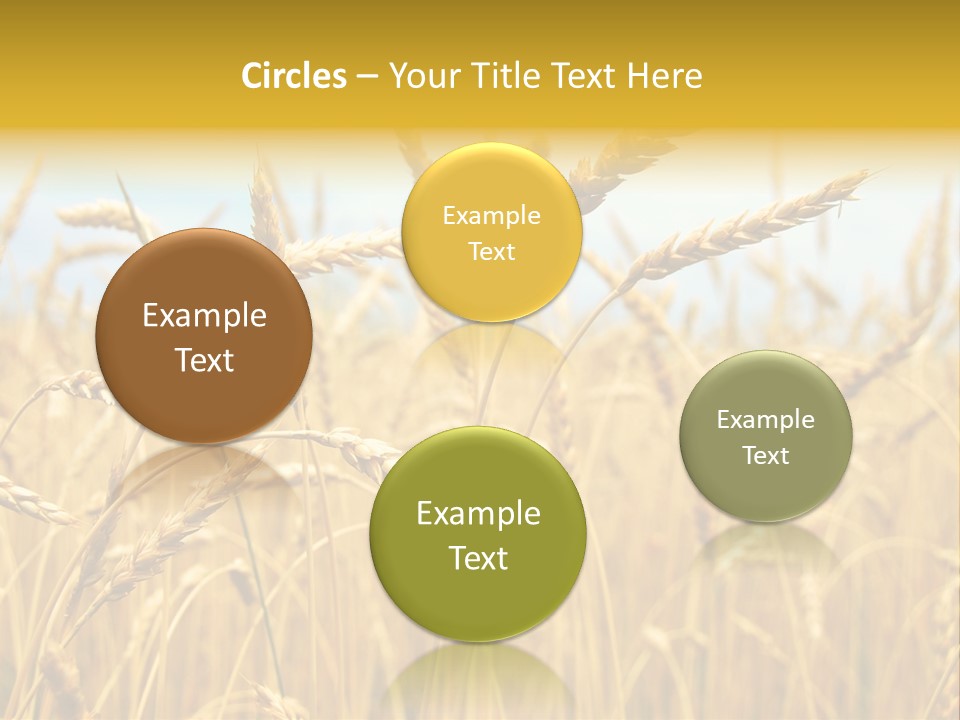 Ripe Farming Agricultural PowerPoint Template
