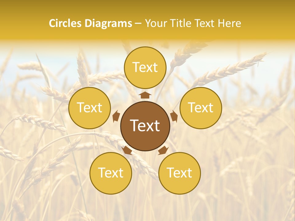 Ripe Farming Agricultural PowerPoint Template