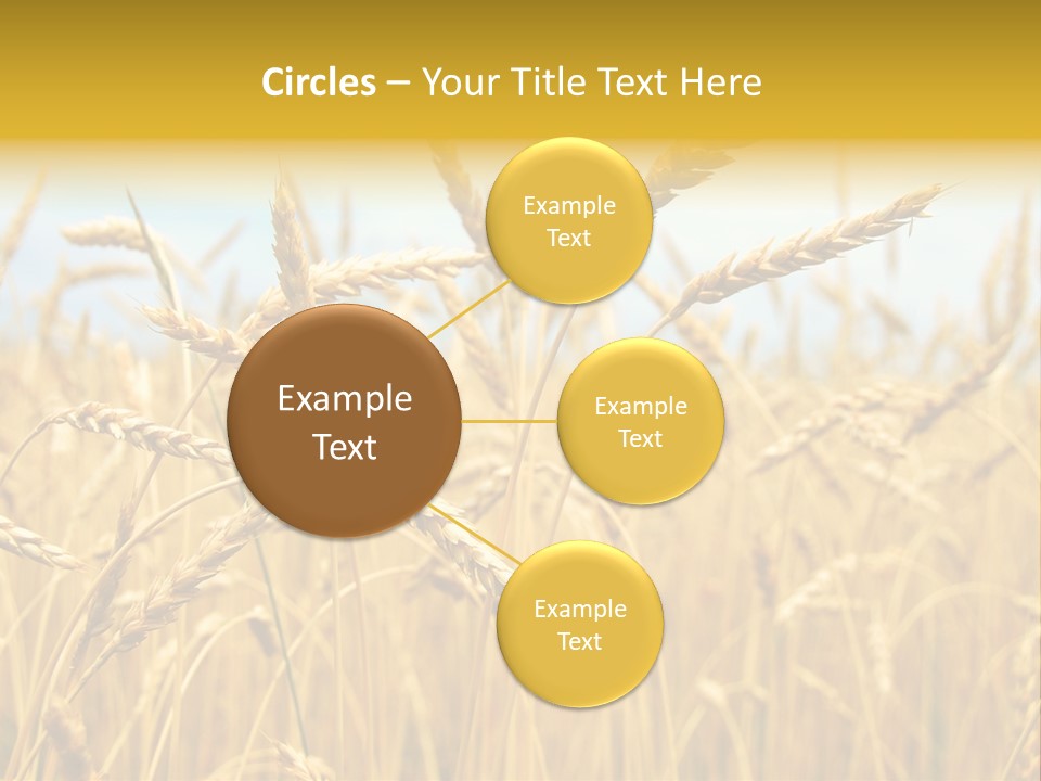 Ripe Farming Agricultural PowerPoint Template