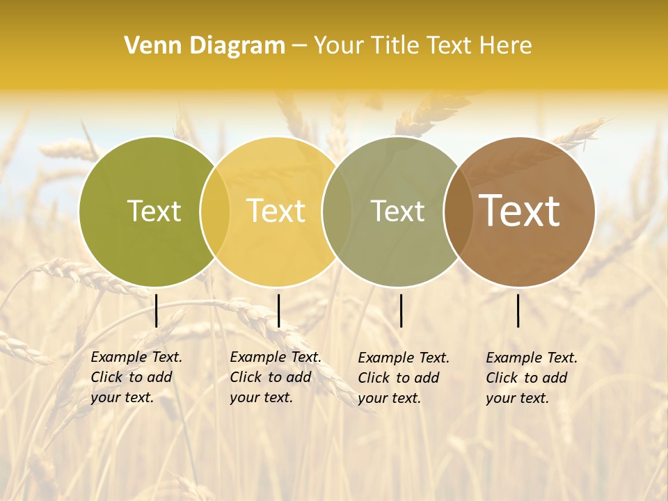 Ripe Farming Agricultural PowerPoint Template