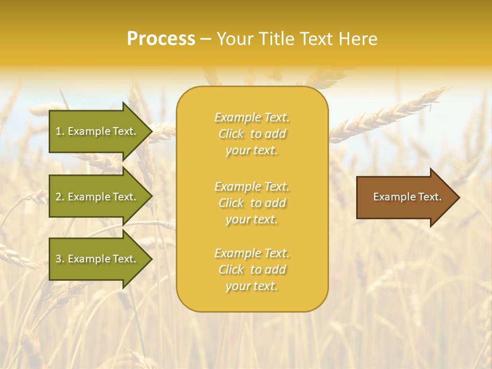 Ripe Farming Agricultural PowerPoint Template