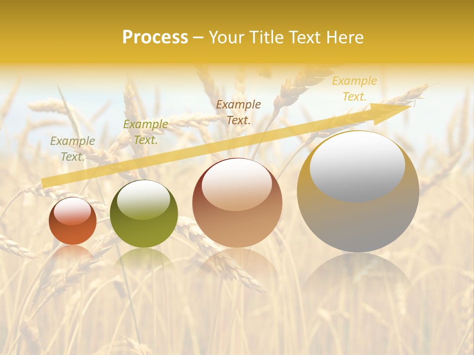 Ripe Farming Agricultural PowerPoint Template