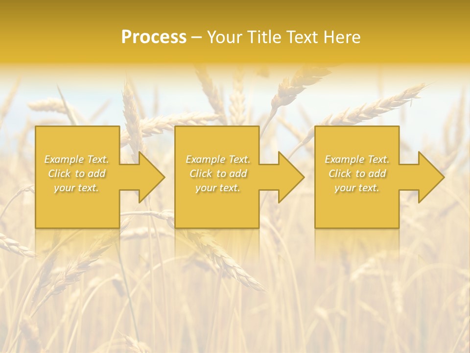 Ripe Farming Agricultural PowerPoint Template
