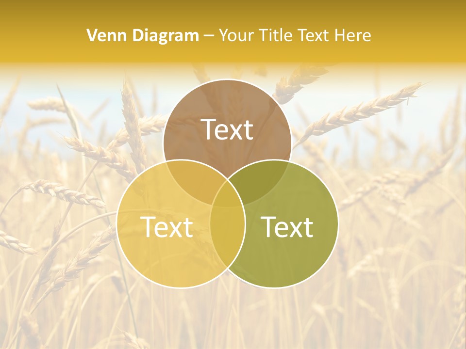 Ripe Farming Agricultural PowerPoint Template