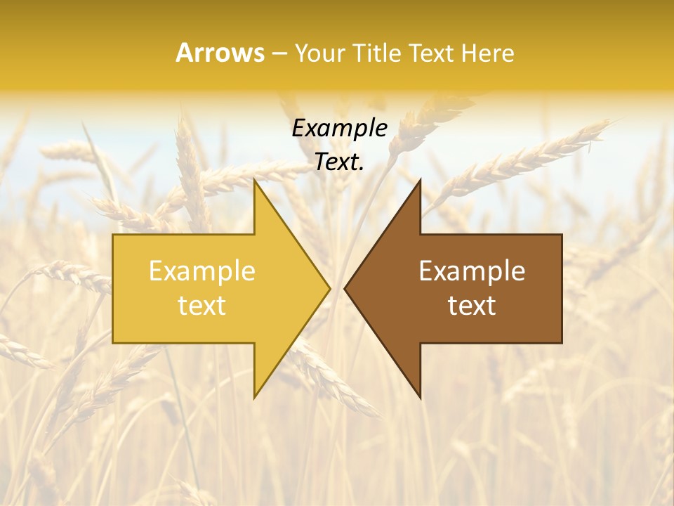Ripe Farming Agricultural PowerPoint Template
