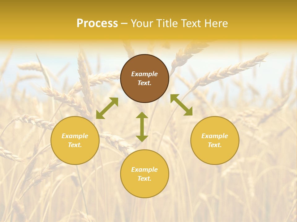 Ripe Farming Agricultural PowerPoint Template