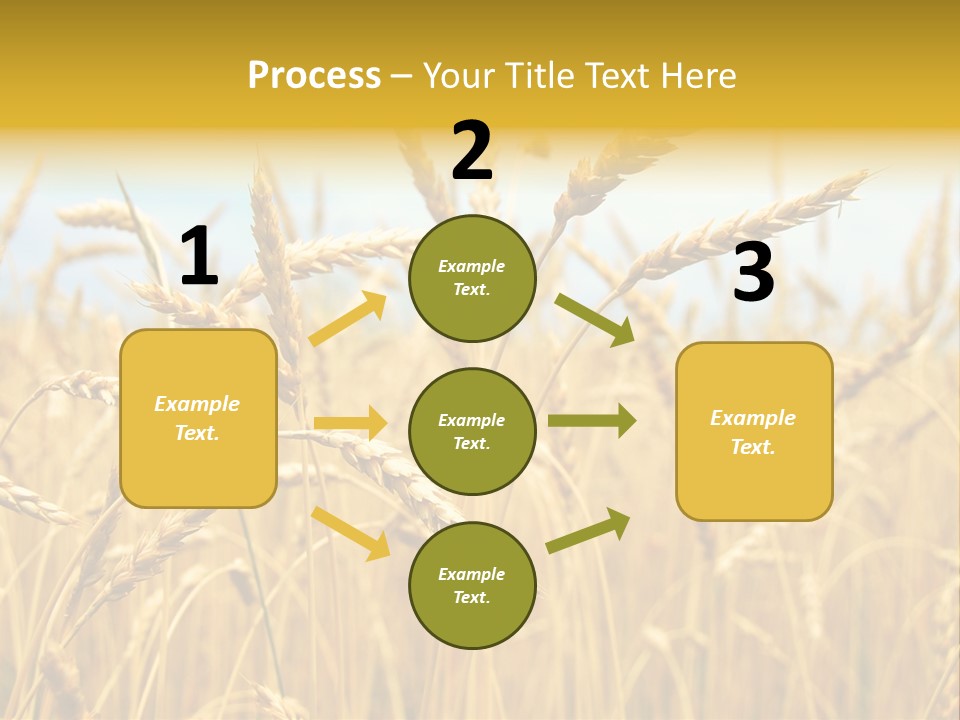 Ripe Farming Agricultural PowerPoint Template