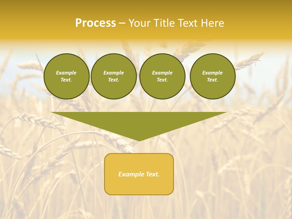 Ripe Farming Agricultural PowerPoint Template