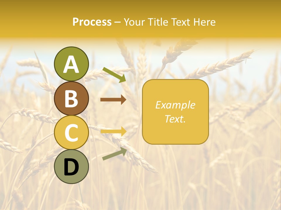 Ripe Farming Agricultural PowerPoint Template