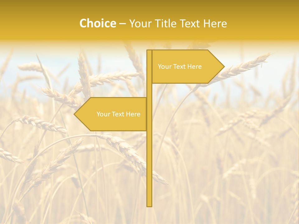 Ripe Farming Agricultural PowerPoint Template