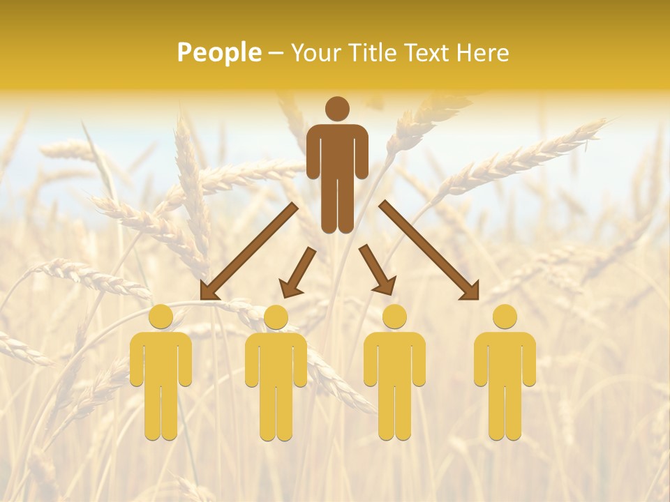 Ripe Farming Agricultural PowerPoint Template