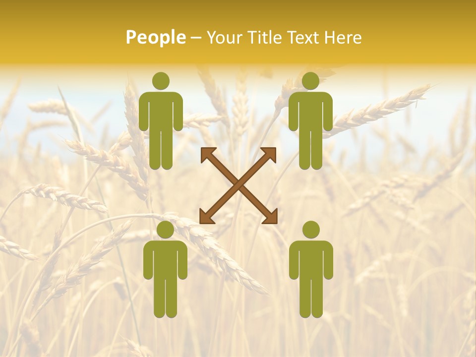 Ripe Farming Agricultural PowerPoint Template