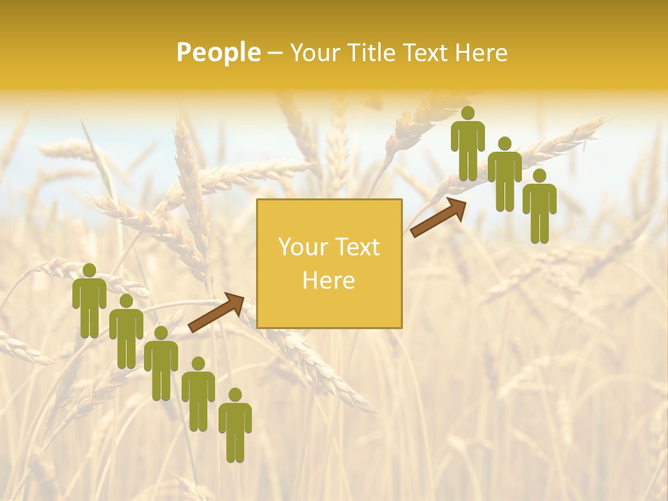 Ripe Farming Agricultural PowerPoint Template