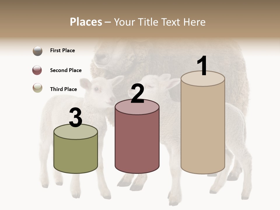 Creature Coat Lamb PowerPoint Template