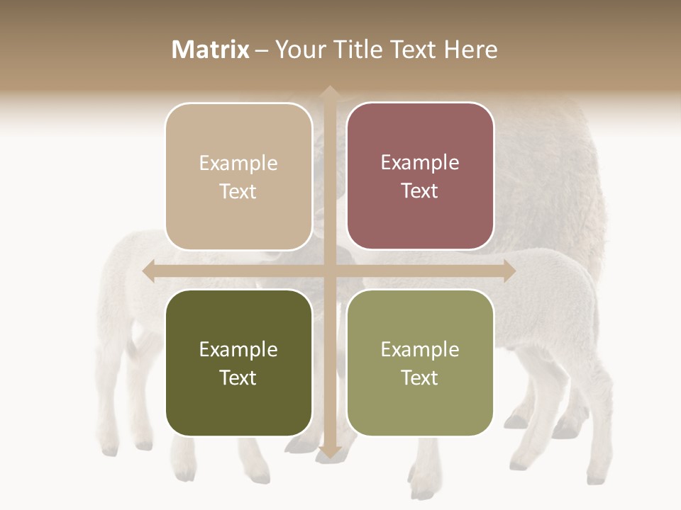 Creature Coat Lamb PowerPoint Template