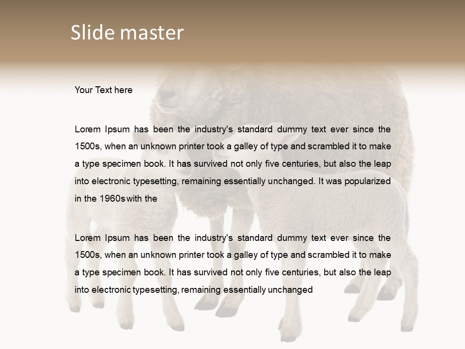 Creature Coat Lamb PowerPoint Template
