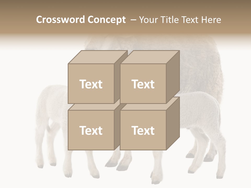 Creature Coat Lamb PowerPoint Template