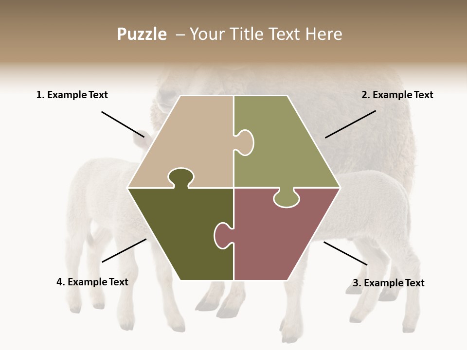 Creature Coat Lamb PowerPoint Template