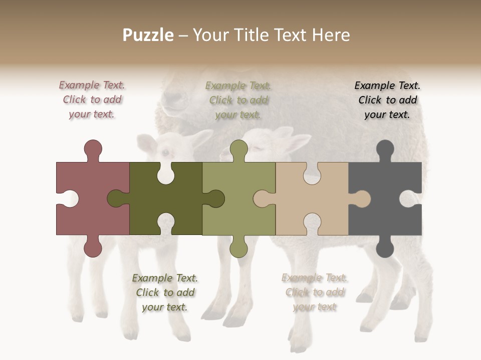 Creature Coat Lamb PowerPoint Template