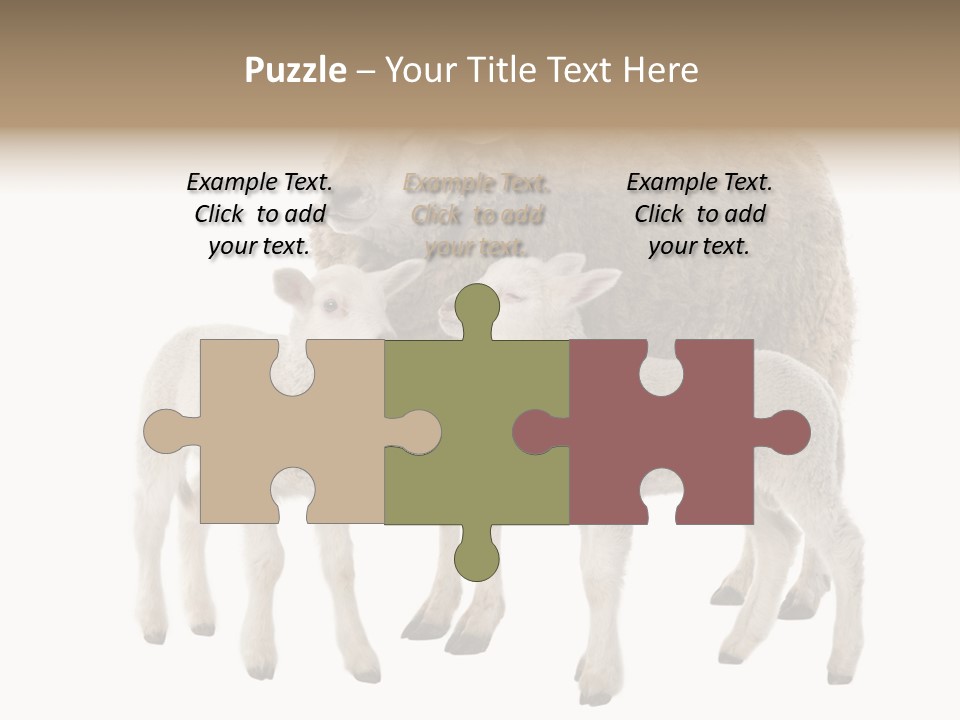 Creature Coat Lamb PowerPoint Template