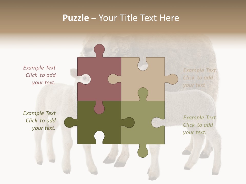 Creature Coat Lamb PowerPoint Template