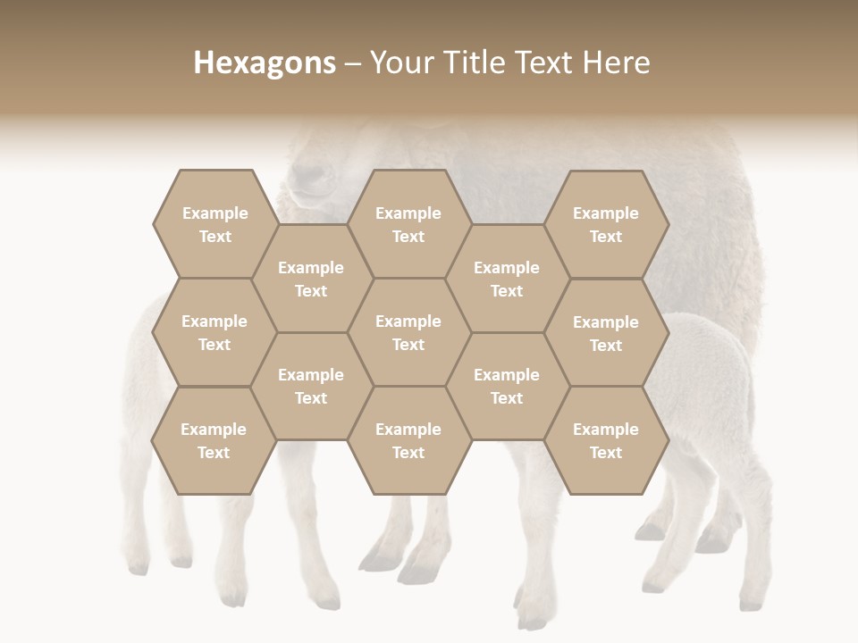 Creature Coat Lamb PowerPoint Template