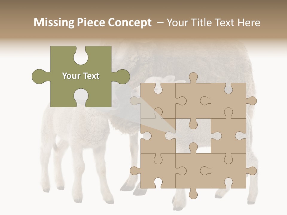 Creature Coat Lamb PowerPoint Template