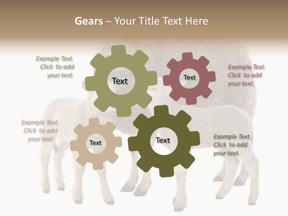 Creature Coat Lamb PowerPoint Template