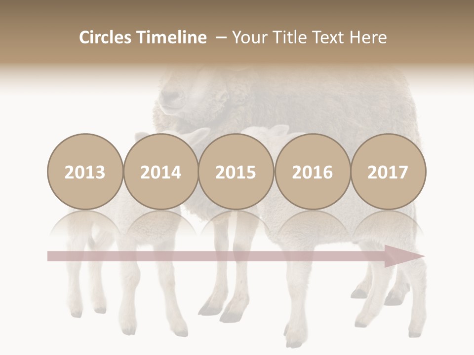 Creature Coat Lamb PowerPoint Template